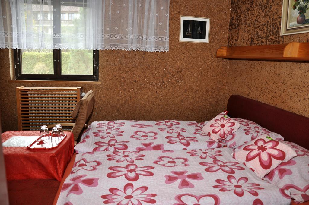 Pension Nika Cesky Krumlov Exterior foto